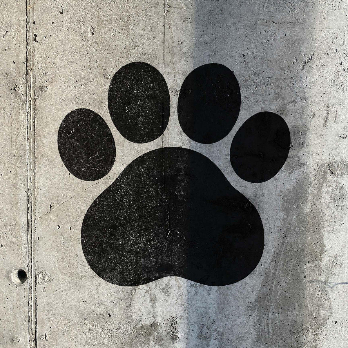 Cartoon Paw Print Stencil painted in black on a concrete wall with a shadow across it.
