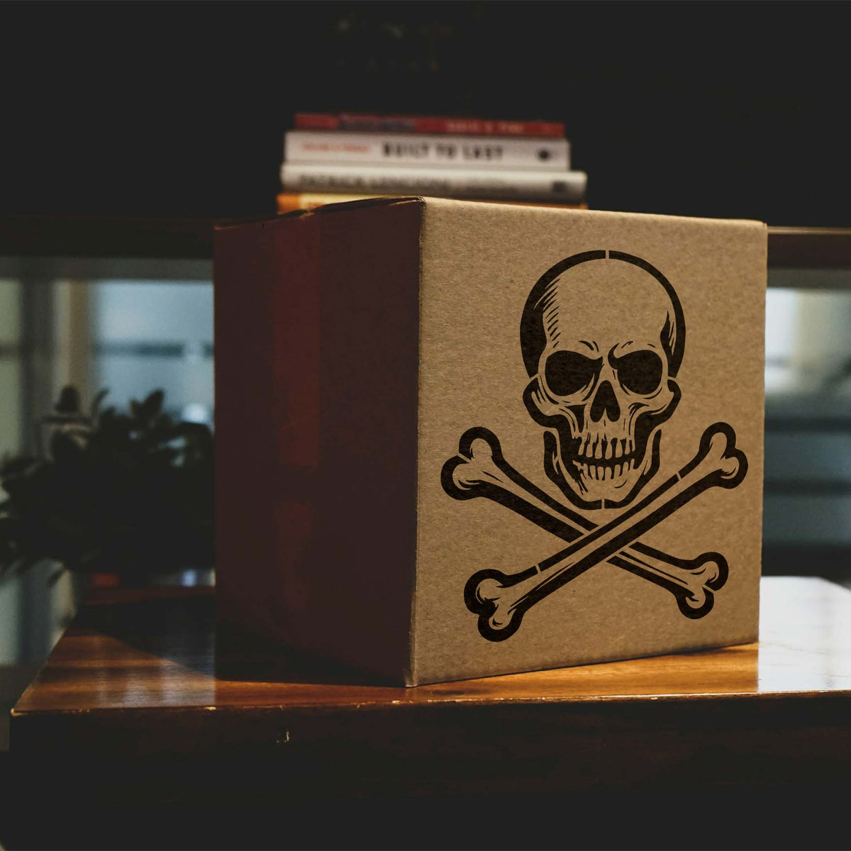 Classic Skull and Crossbones Stencil marks a cardboard box with a bold black pirate skull design.