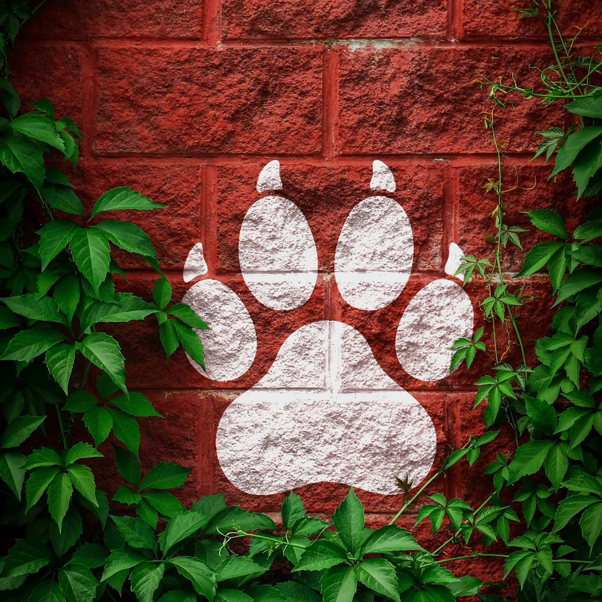 Framed by green vines, the Clawed Paw Print Stencil appears in white on a rugged red brick wall