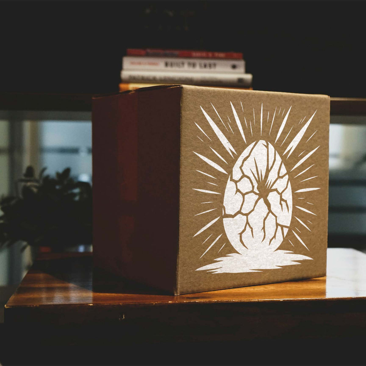 A white Cracked Dragon Egg Stencil with dramatic burst lines decorates the front of a brown cardboard box.