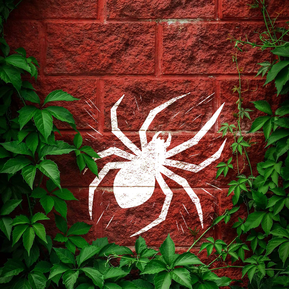 Creeping Spider Silhouette Stencil crawls across a red brick wall framed by green ivy