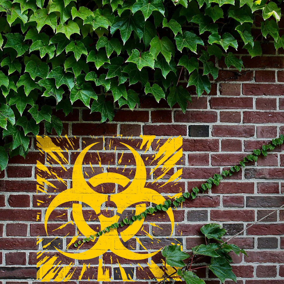 Bright yellow Distressed Biohazard Symbol Stencil artwork covers an ivy-framed red brick wall.