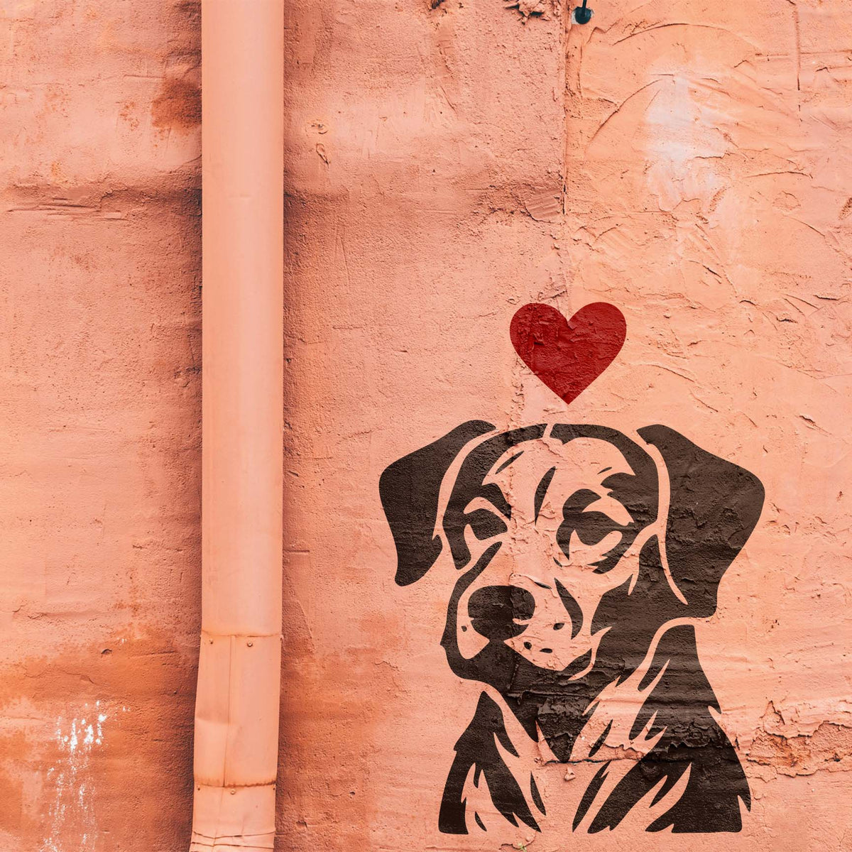 Dog Portrait with Heart Stencil painted on a peach stucco wall beside a vertical pipe.