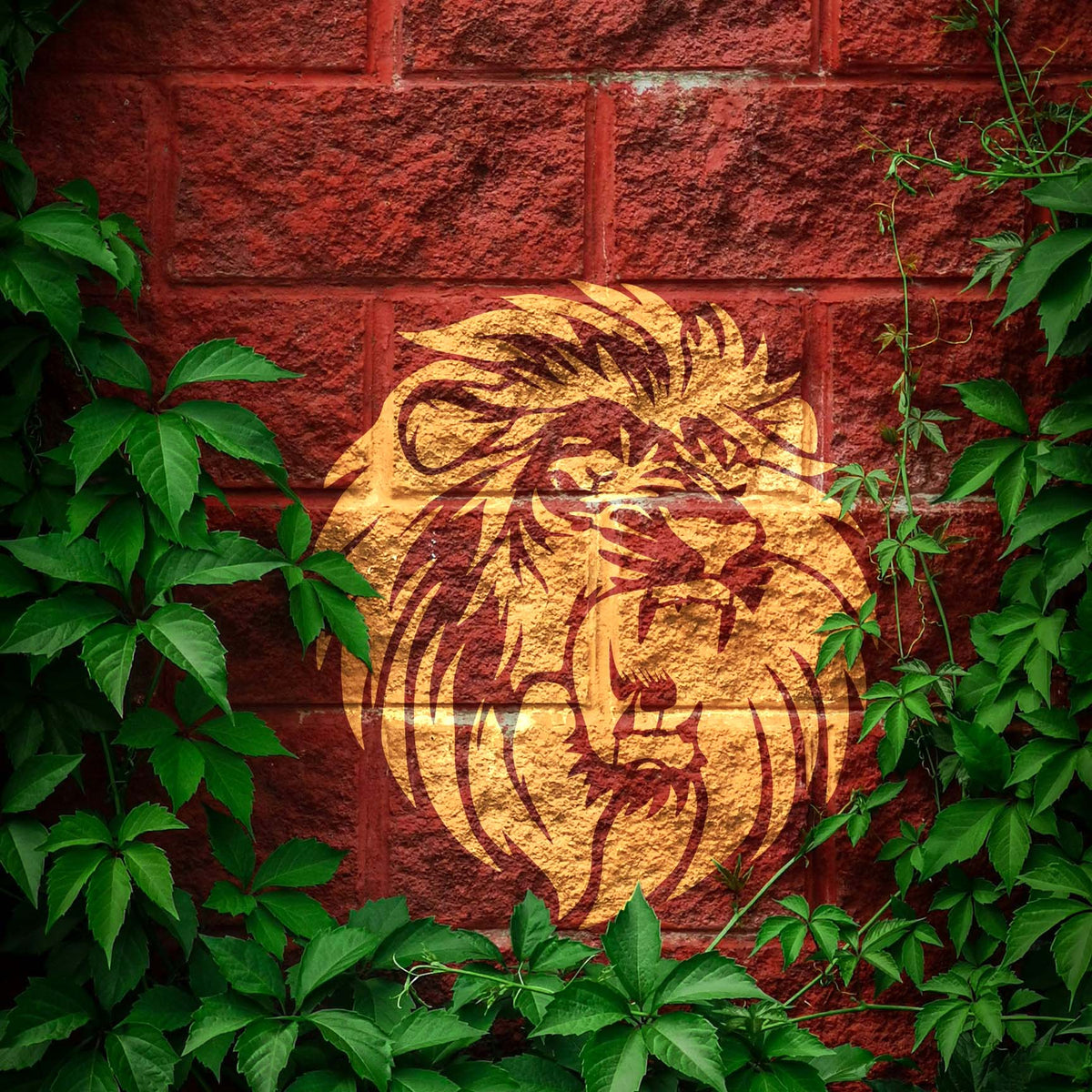 Fierce Lion Portrait Stencil roars in gold across a red brick wall framed by green ivy.