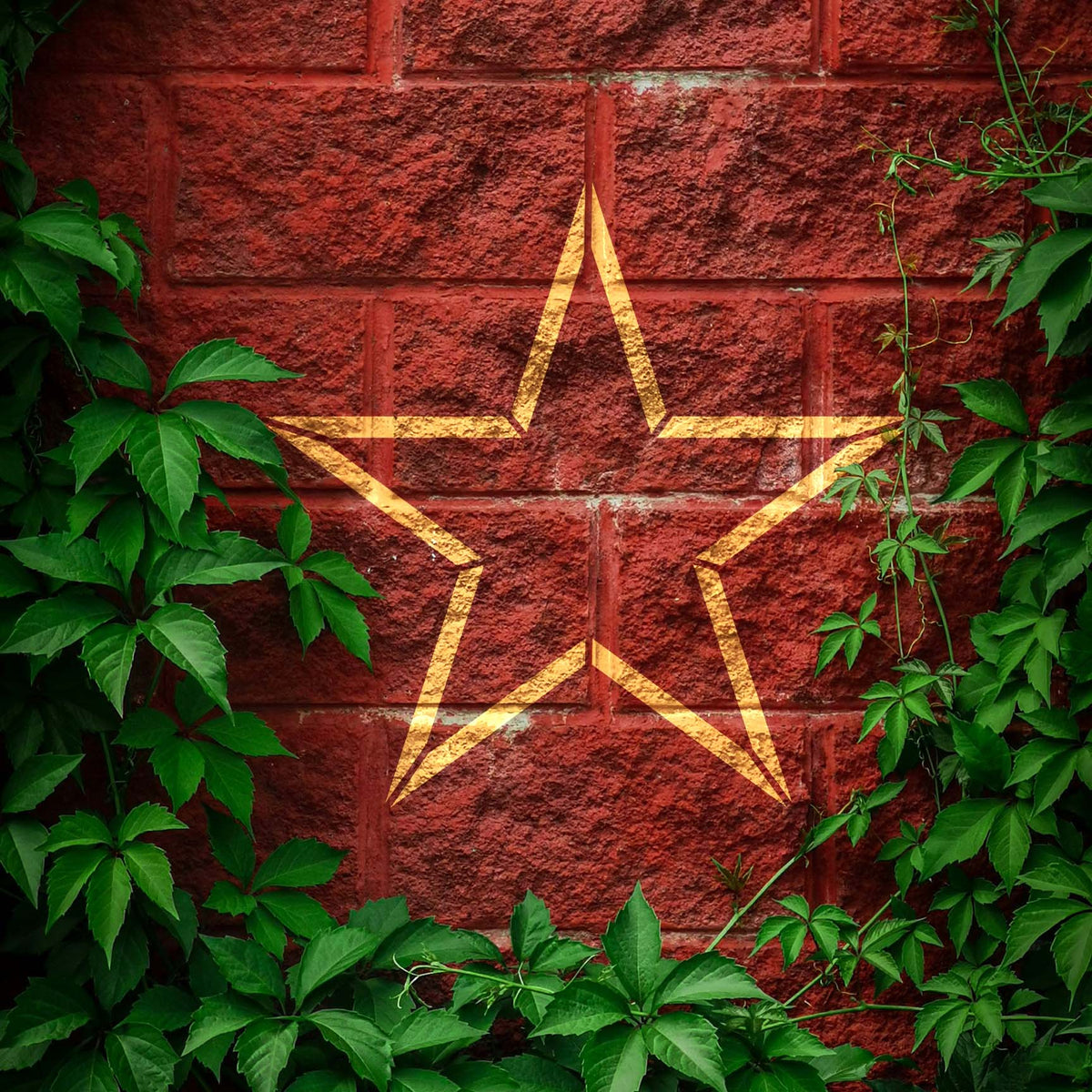 Five Point Star Outline Stencil adds a gold star design to a red brick wall framed by green vines