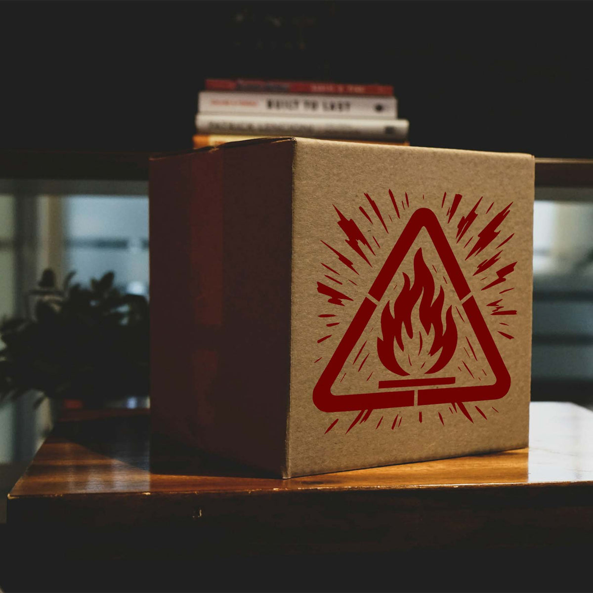 Flammable Hazard Warning Stencil marks a cardboard box with a red flame and caution triangle.