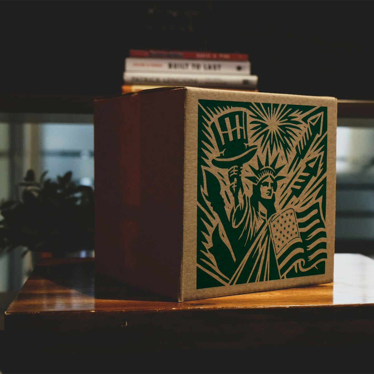 On a kraft box, Fourth of July Liberty Stencil pairs Lady Liberty with fireworks and a waving flag.