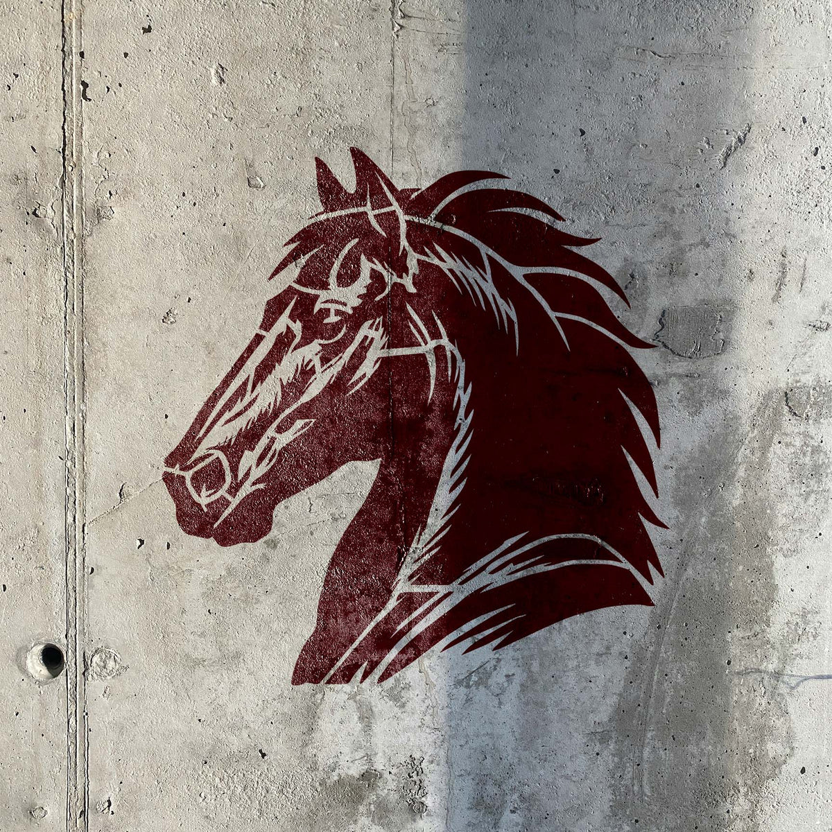 Majestic Horse Head Stencil shows a detailed bridled horse profile painted on a rugged concrete wall.