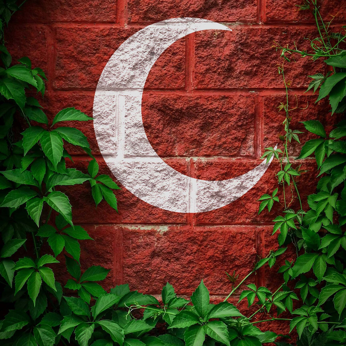 A silver Minimalist Crescent Moon Stencil glows against rustic red bricks framed by green ivy.