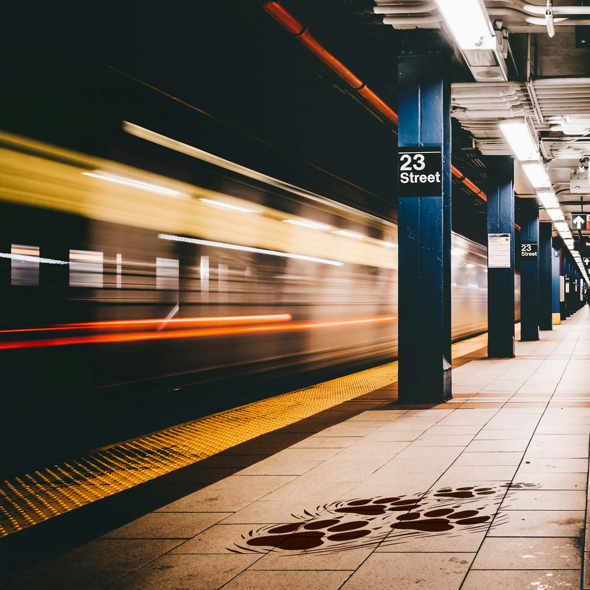 Multiple Paw Prints Trail Stencil marks a subway platform floor with a playful trail of animal tracks.