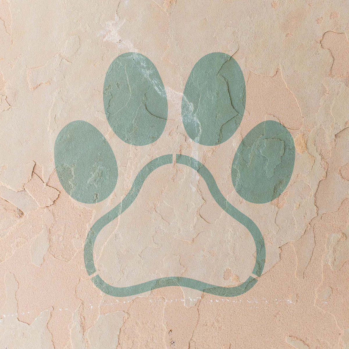 Muted teal Paw Print Frame Stencil stands out against a weathered textured stucco wall