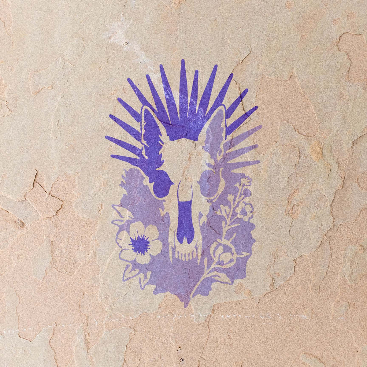 Radiant Animal Skull and Wildflower Stencil painted purple across a stucco wall