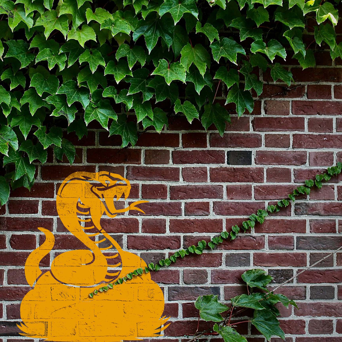 A striking Raised Cobra Stencil rises in gold against an ivy-covered brick wall