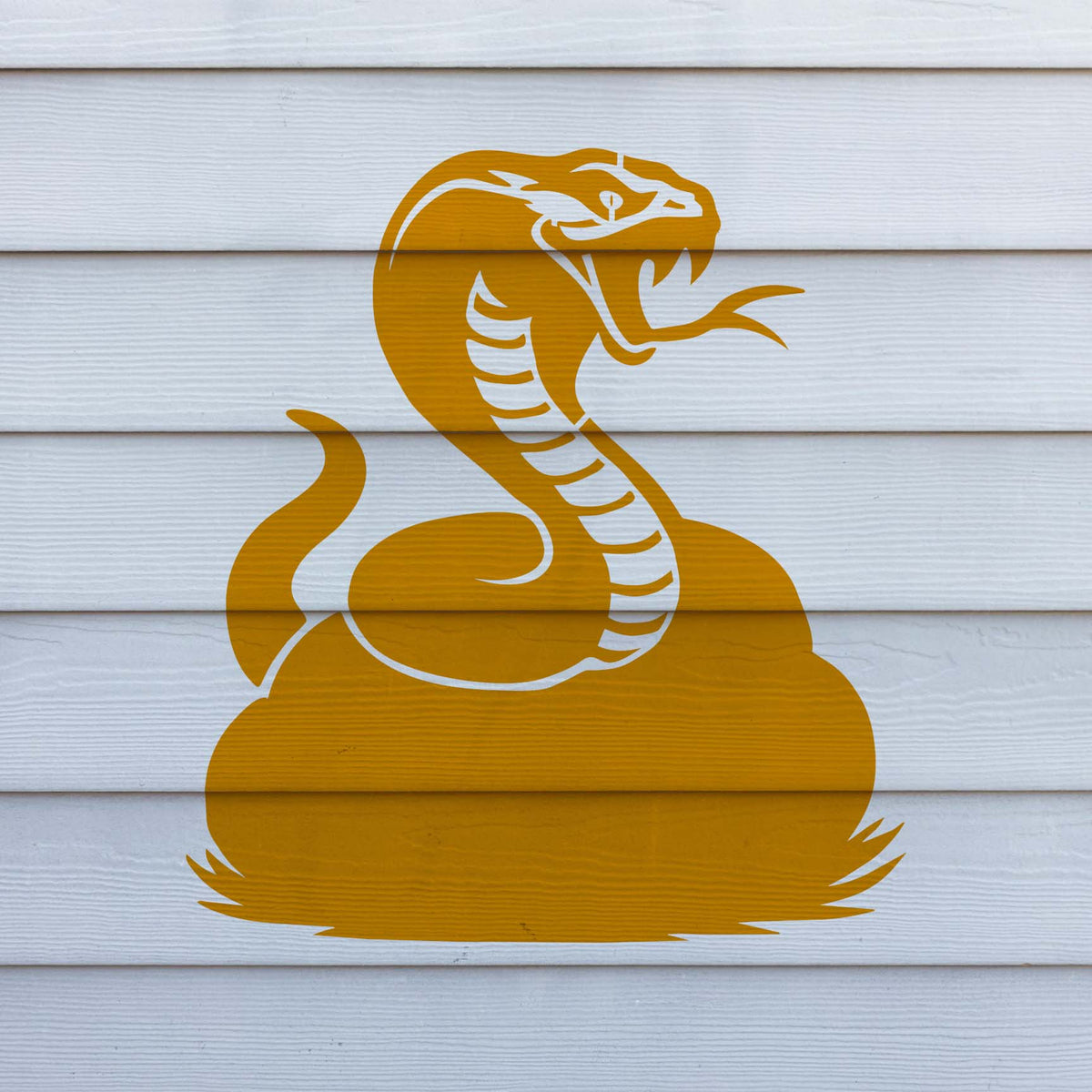 Raised Cobra Stencil displays a coiled golden serpent across white exterior siding