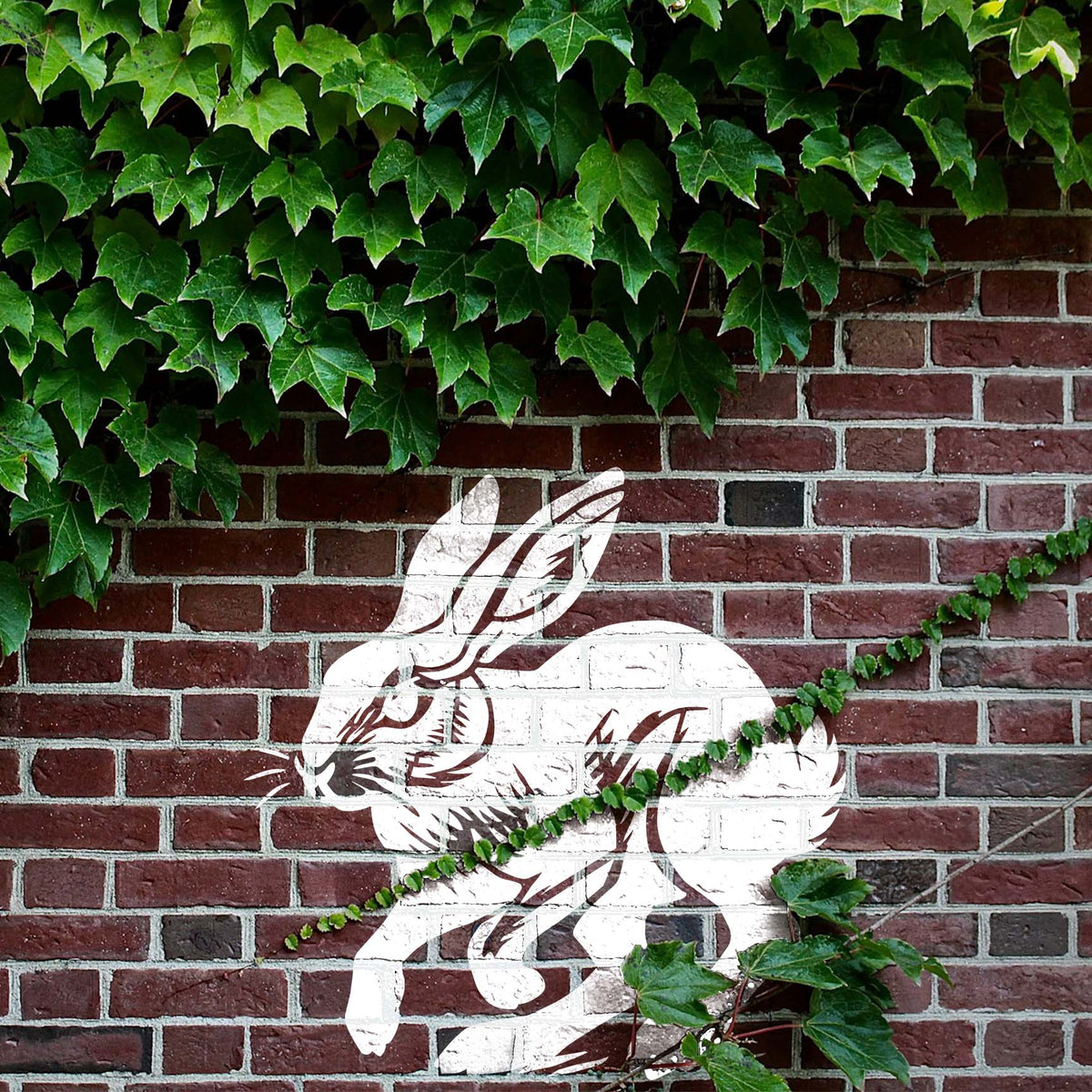 Running jackrabbit stencil painted across an ivy-covered brick wall