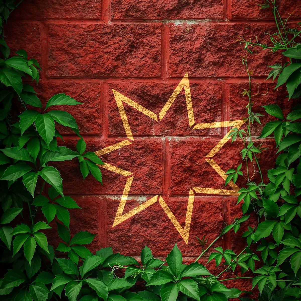 Golden Seven Point Star Outline Stencil stands out on a red brick wall surrounded by leafy green vines