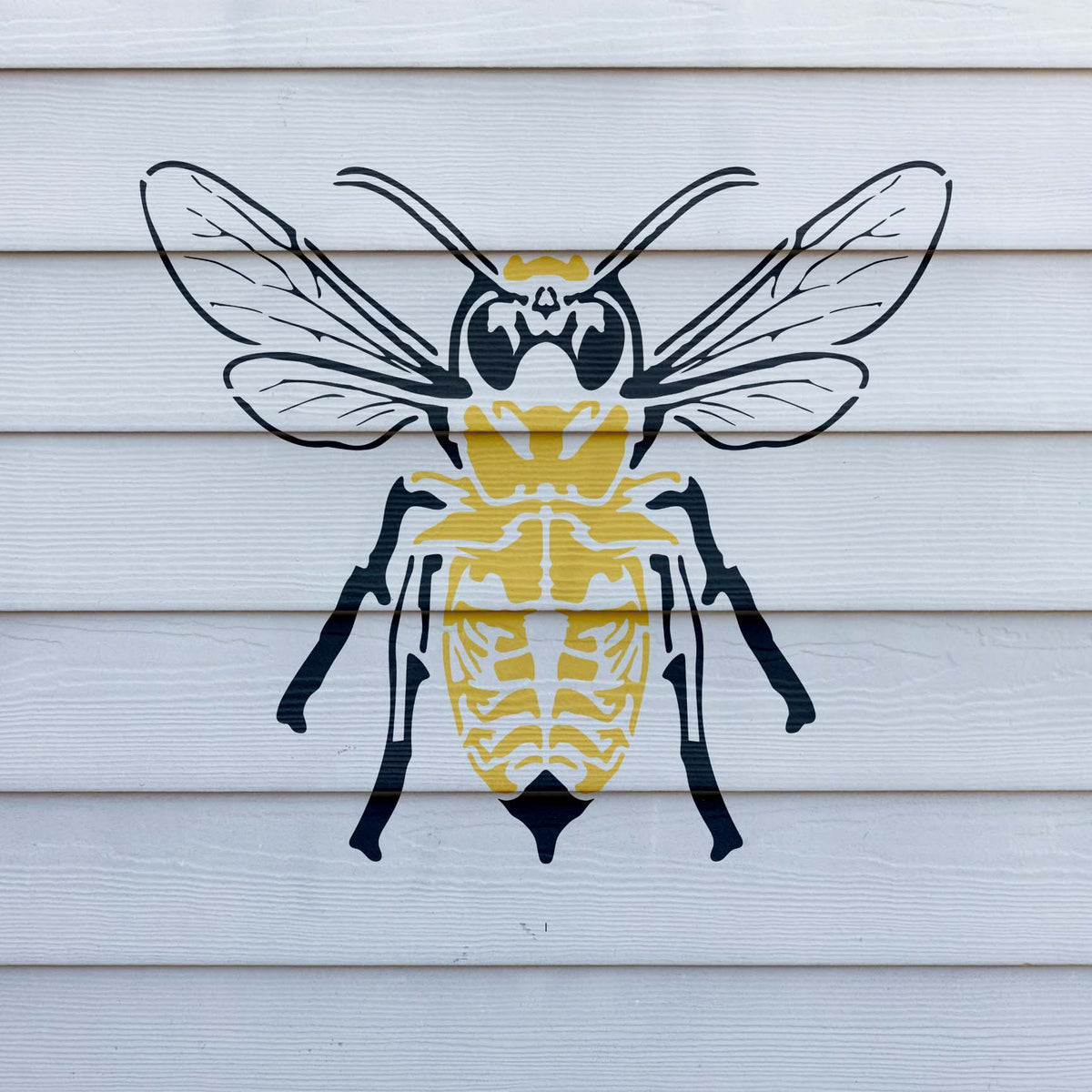 Bold Skeleton Bee Stencil spreads detailed wings across white horizontal exterior siding