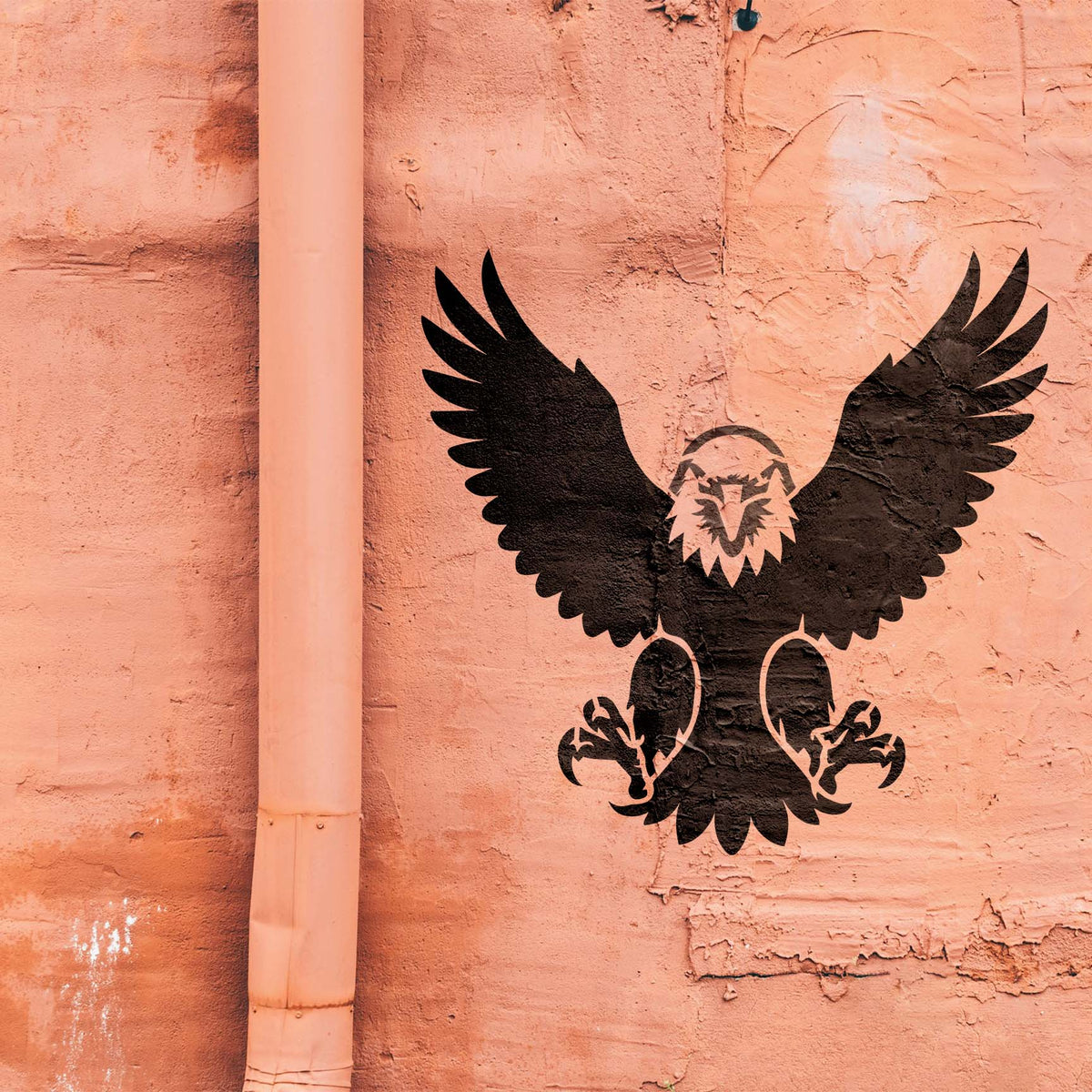Against a textured salmon wall, the Soaring Eagle Front View Stencil displays bold wings and fierce talons.