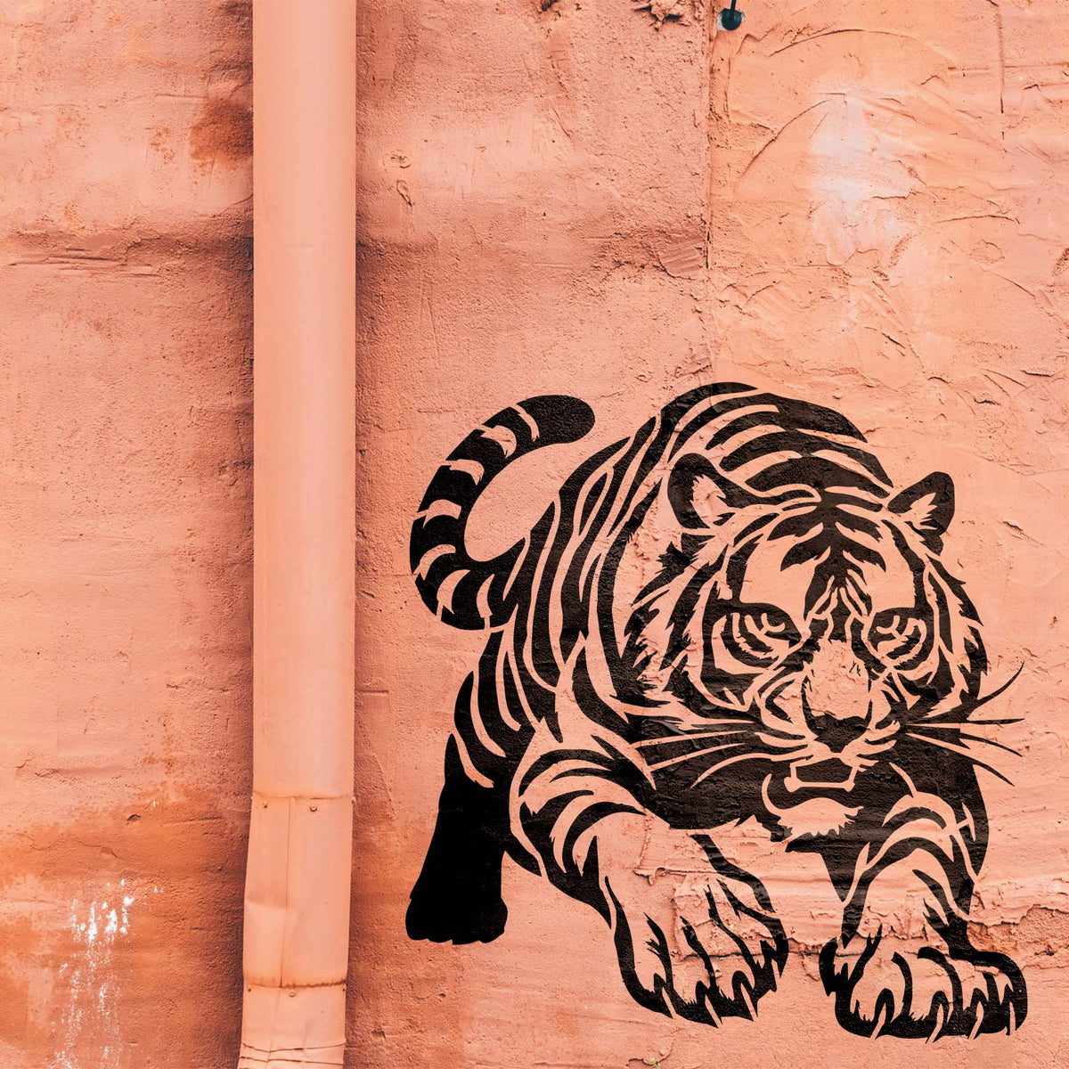 Crouching Tiger on the Prowl Stencil emerges boldly across a textured salmon wall