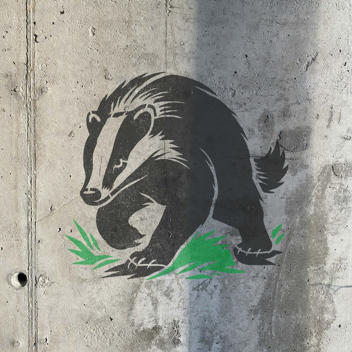 Walking badger stencil painted in black and green on concrete wall