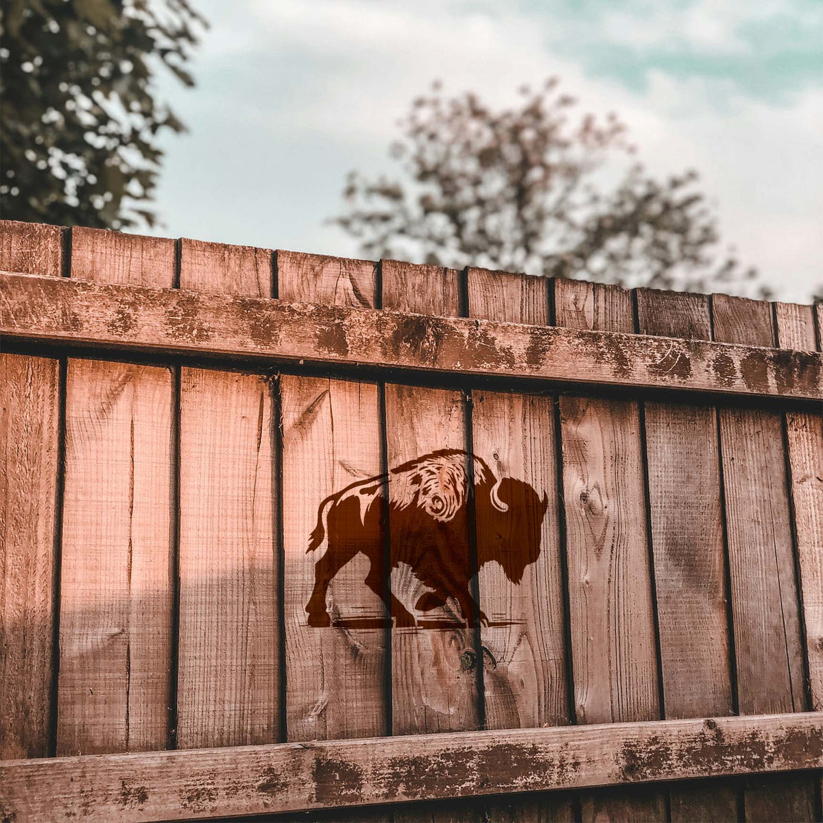 Walking Bison Side Profile Stencil painted brown on a rustic wooden fence with detailed fur.