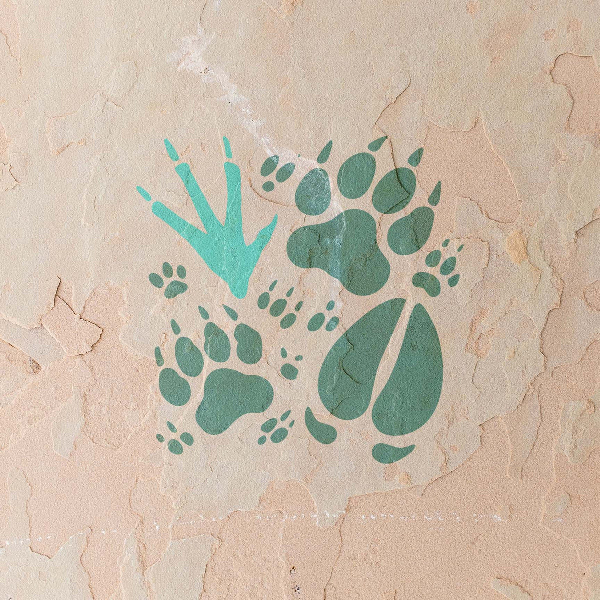 Assorted wildlife tracks stencil with paw, hoof, and bird prints on stucco