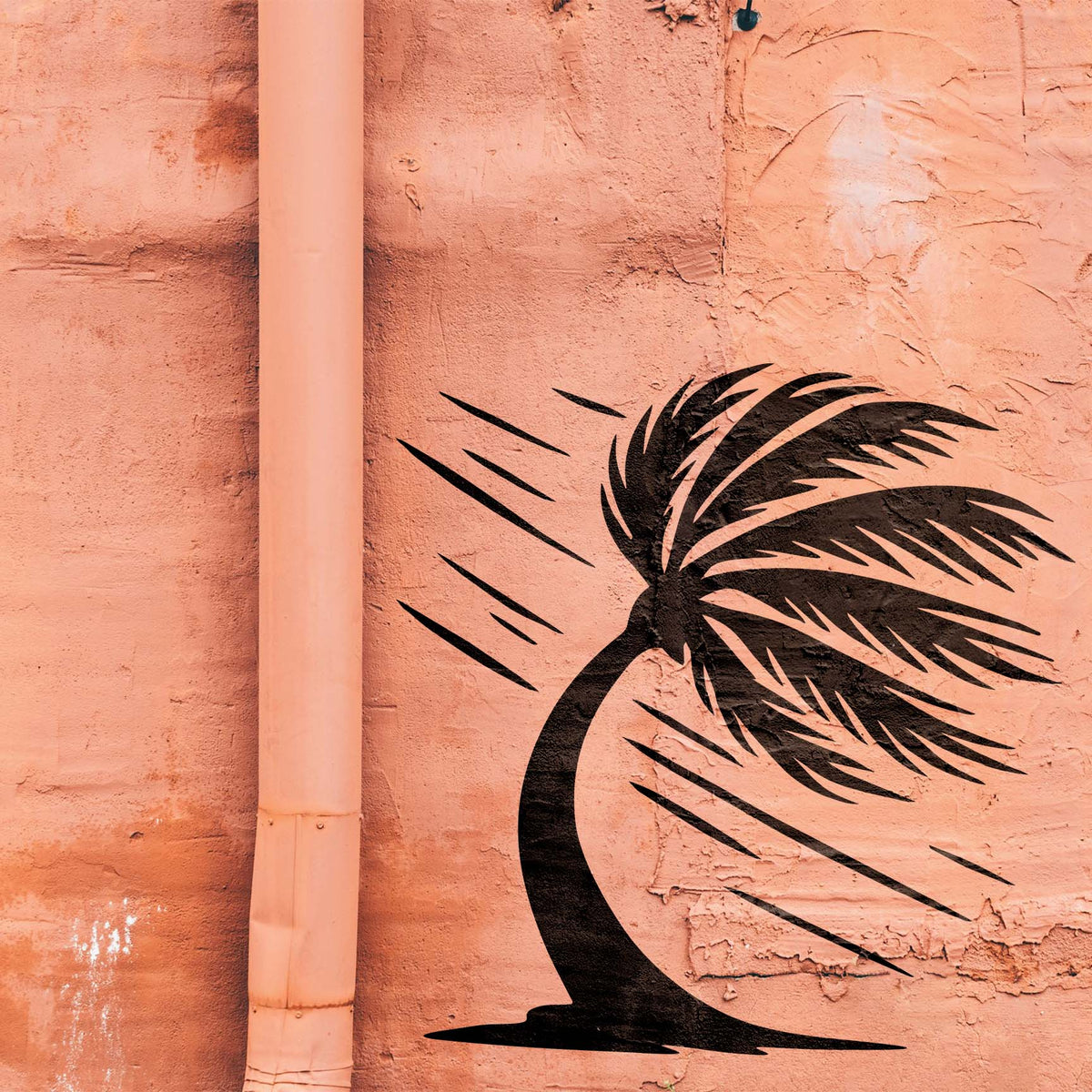 Black windblown palm tree stencil painted across a textured salmon wall