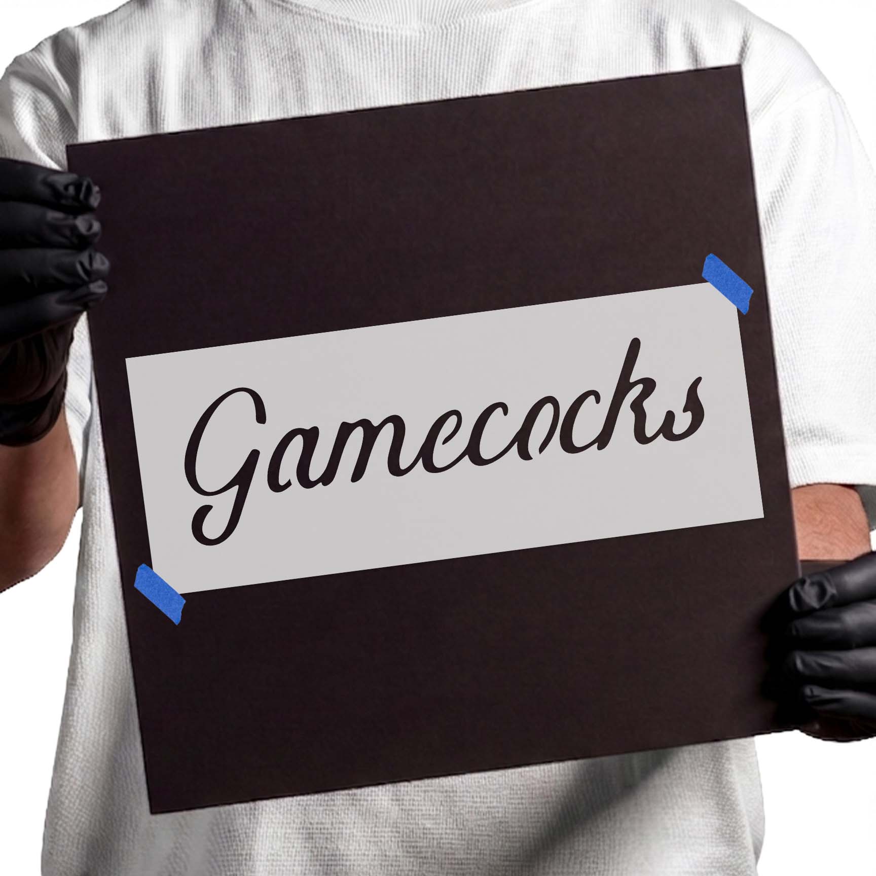 Gamecocks stencil with flowing cursive script lettering
