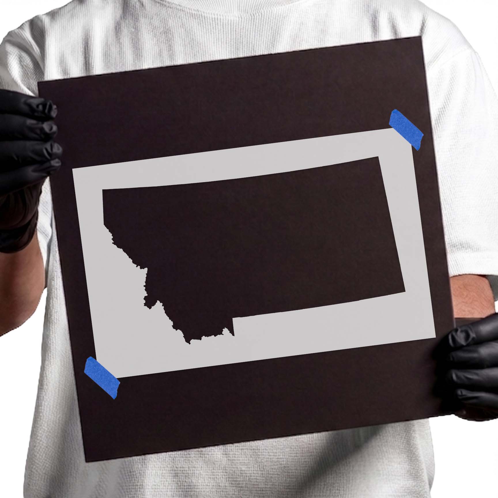 Montana state silhouette with detailed geographic border outline
