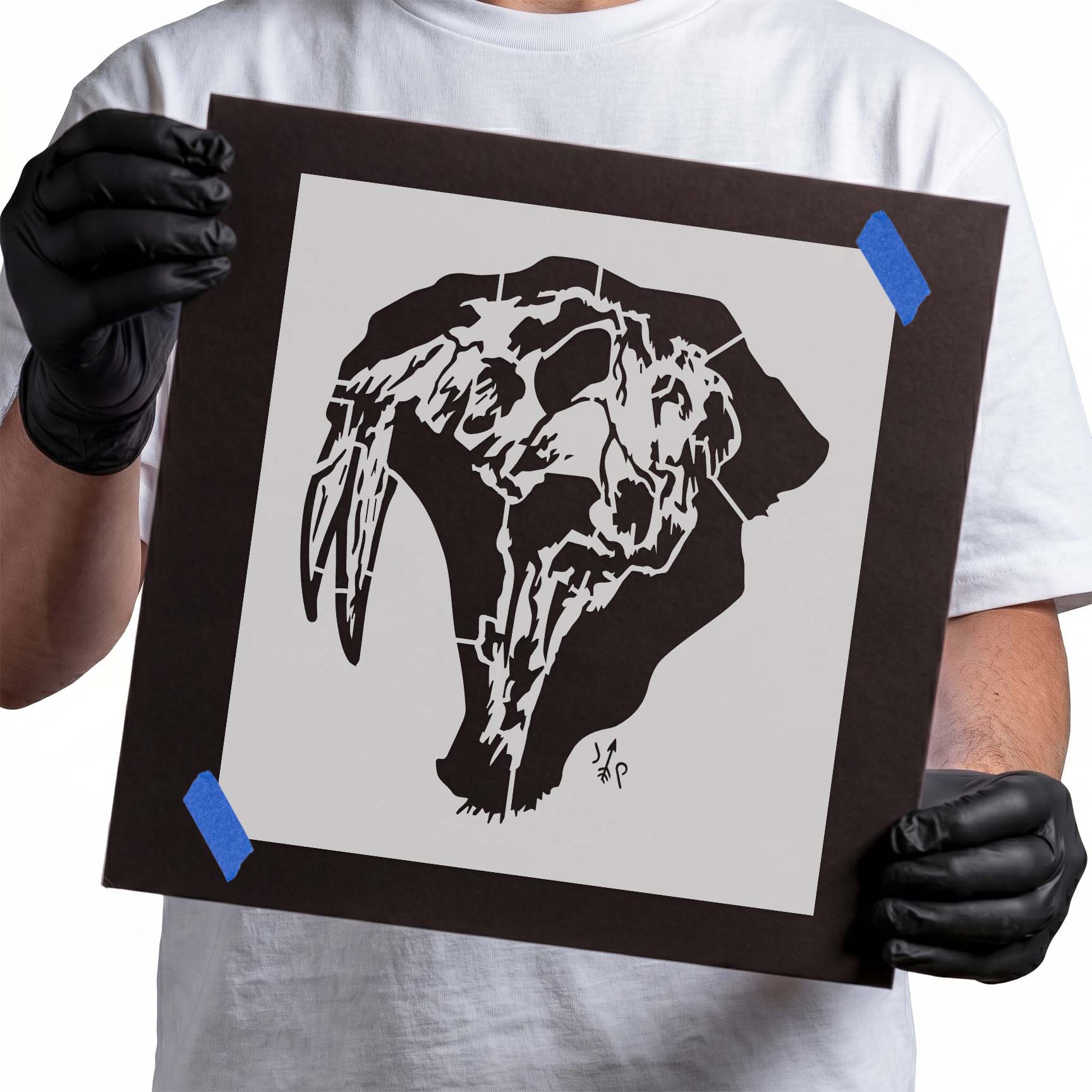 Person holding laser-cut Sabertooth Tiger Skull Stencil taped to cardboard