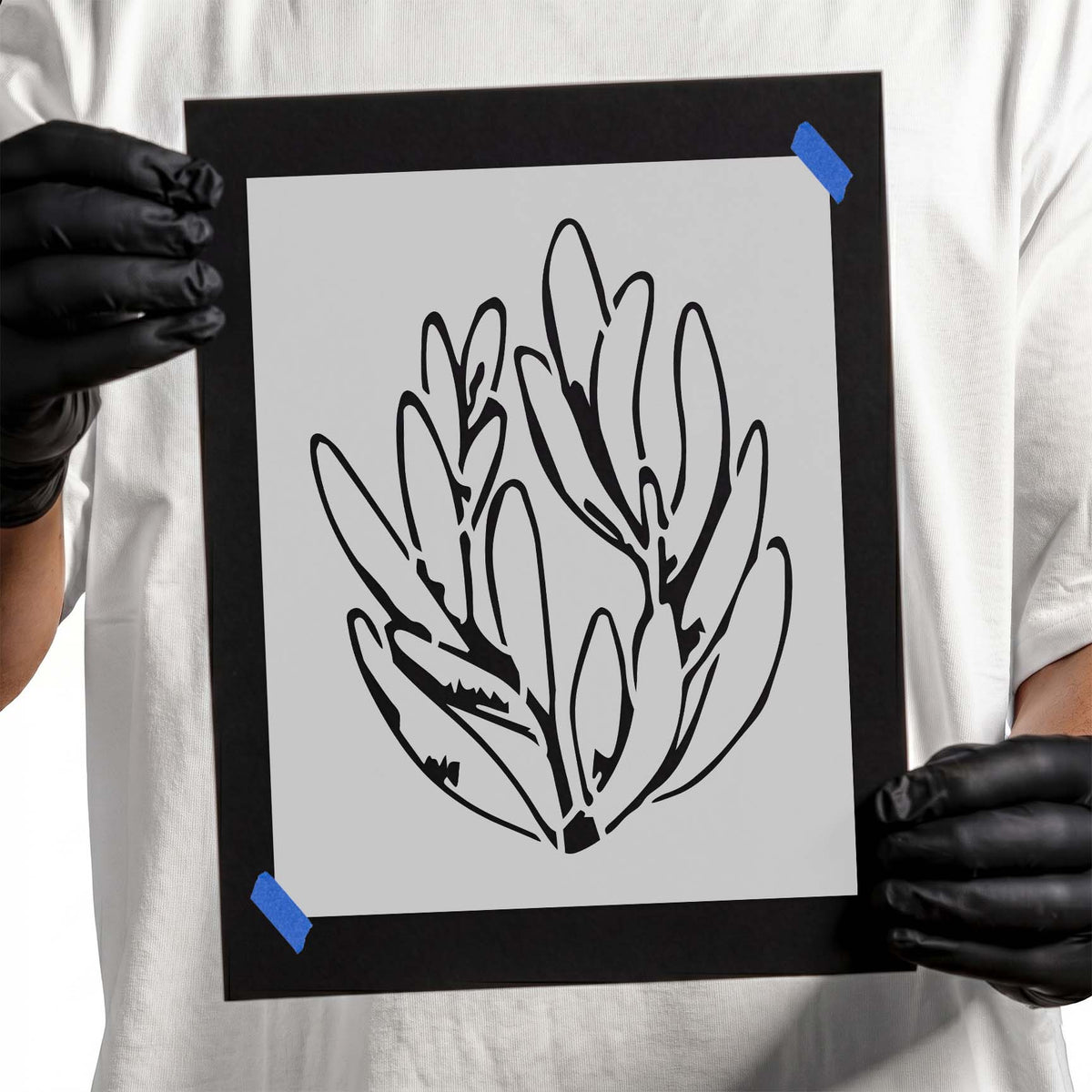 Senecio succulent stencil with layered upright leaves and botanical detail