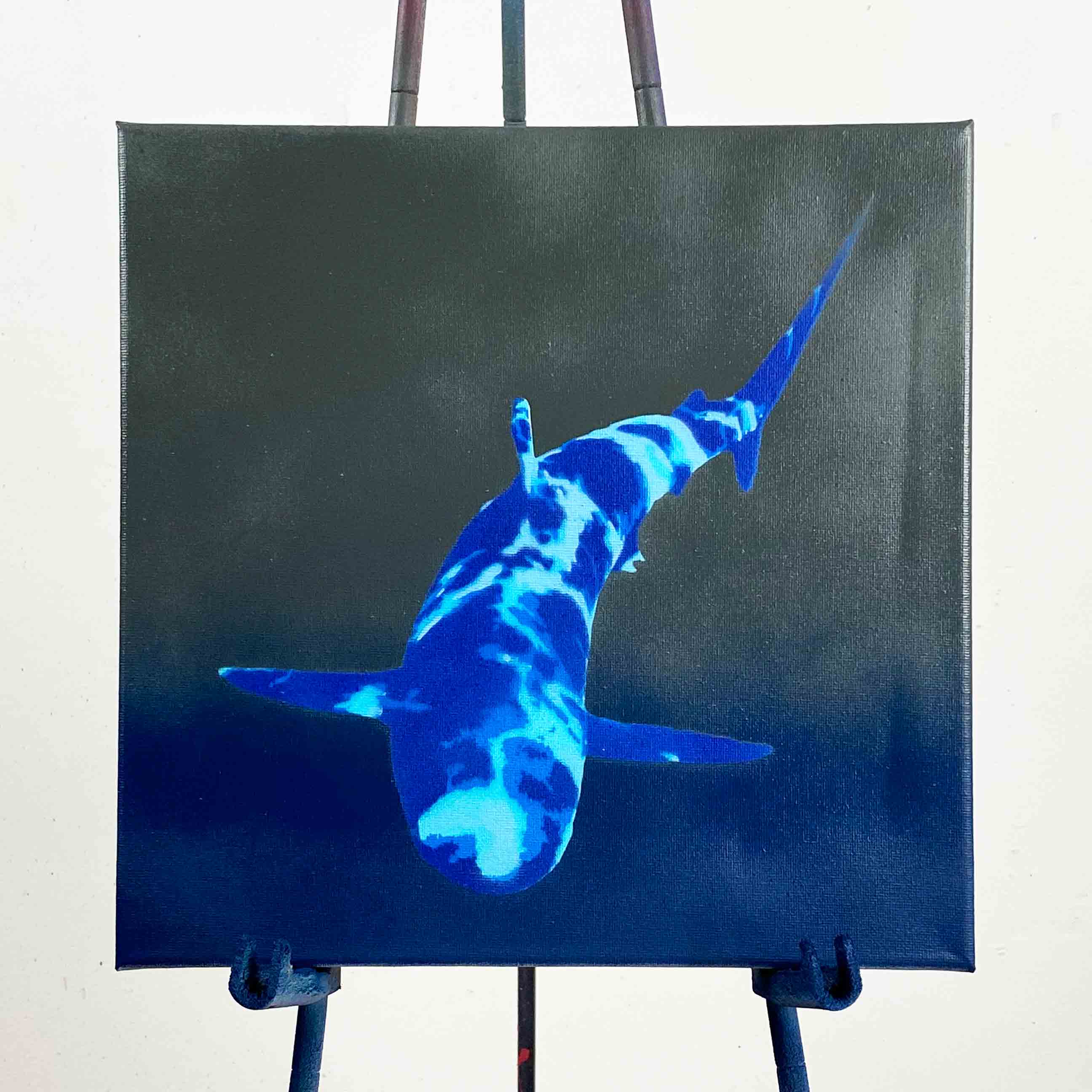 Shark Painted on Canvas