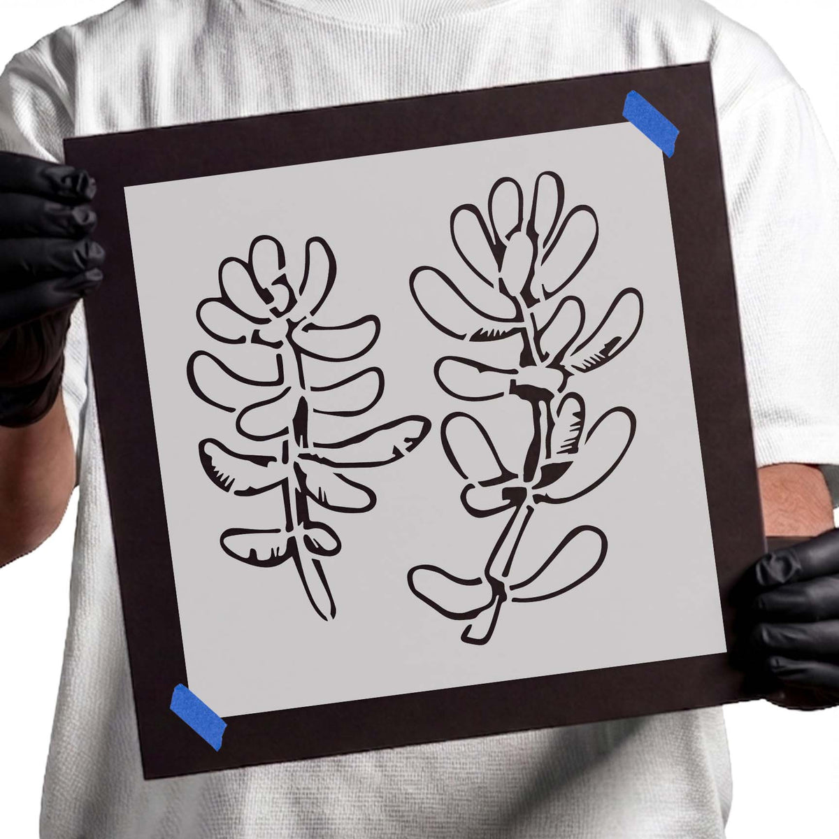 Stonecrop stencil with two succulent stems and rounded leaves